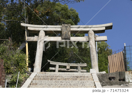 豊玉姫神社参道の石段と石鳥居 71475324
