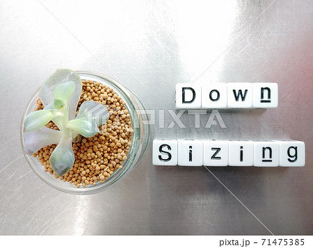 明るい光の中でDown Sizingと並べられたサイコロ文字と植物1 明るい光の中でDown Sizingと並べられたサイコロ文字と植物1 71475385