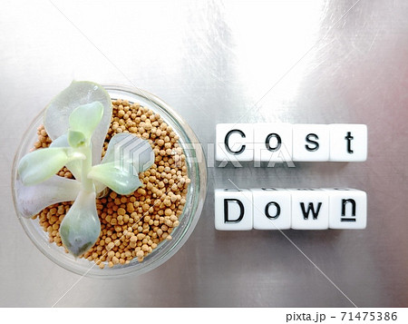 明るい光の中でCost Downと並べられたサイコロ文字と植物1 71475386