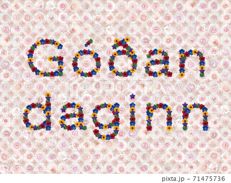 花「こんにちは（アイスランド語_B）」（フレグラントヒル） 71475736