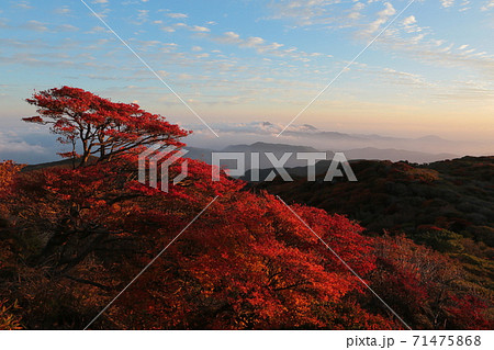 朝日を浴びる紅葉と山々 朝日を浴びる紅葉と山々 71475868