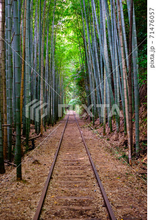 旧国鉄倉吉線廃線跡 旧国鉄倉吉線廃線跡 71476057
