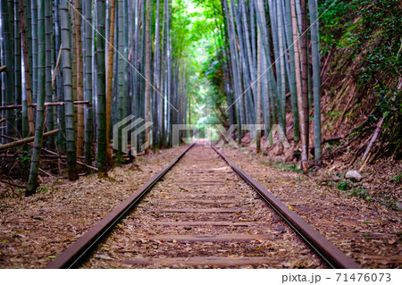 旧国鉄倉吉線廃線跡 旧国鉄倉吉線廃線跡 71476073