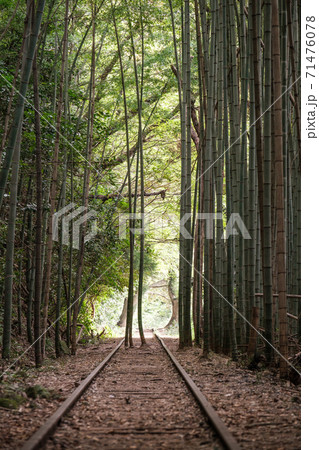 旧国鉄倉吉線廃線跡 旧国鉄倉吉線廃線跡 71476078