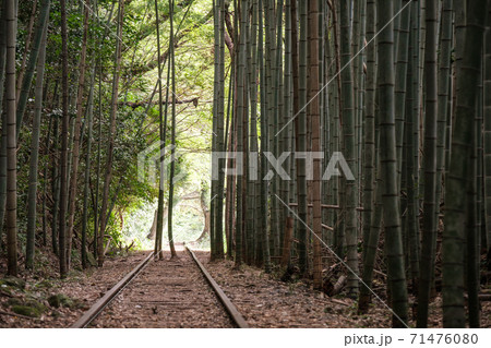 旧国鉄倉吉線廃線跡 旧国鉄倉吉線廃線跡 71476080