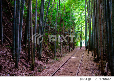 旧国鉄倉吉線廃線跡 旧国鉄倉吉線廃線跡 71476082