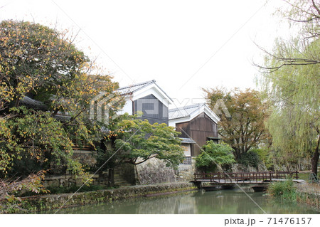 近江八幡の水郷の風景 近江八幡の水郷の風景 71476157