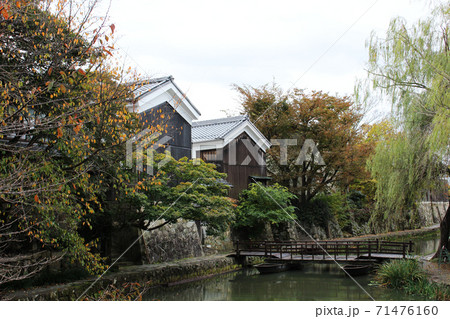 近江八幡の水郷の風景 近江八幡の水郷の風景 71476160
