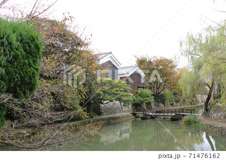 近江八幡の水郷の風景 近江八幡の水郷の風景 71476162