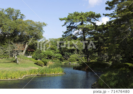 栗林公園の群鴨池 栗林公園の群鴨池 71476480