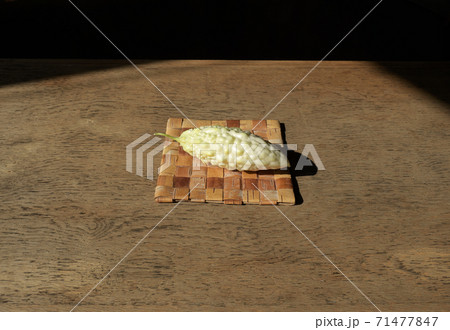 小さな白いゴーヤ 71477847