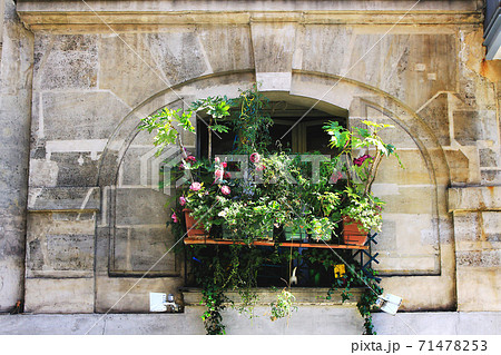 パリのアパートベランダを飾る花とグリーンの写真素材
