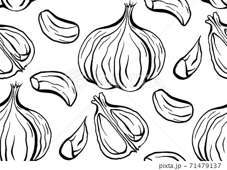 Seamless pattern sketch outline garlic illustration. Antibacterial product for health. Useful seasoning for cooking. Natural spice. Vector texture 71479137