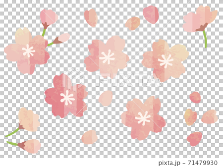 Watercolor style cute cherry blossom decoration illustration set spring season 71479930