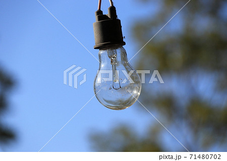 裸電球イメージ 裸電球イメージ 71480702
