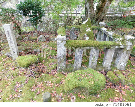 大寧寺の大内義隆公姿見の池碑 71481061