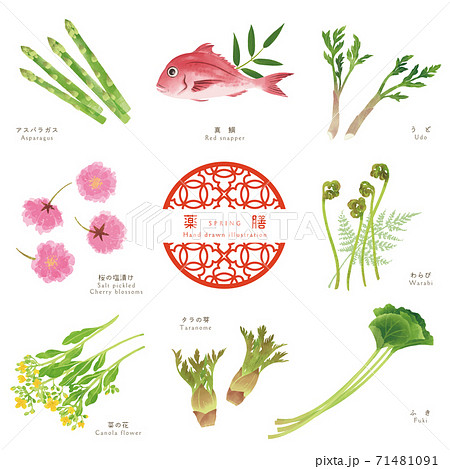 春の薬膳−1/食材の手描きイラスト 71481091