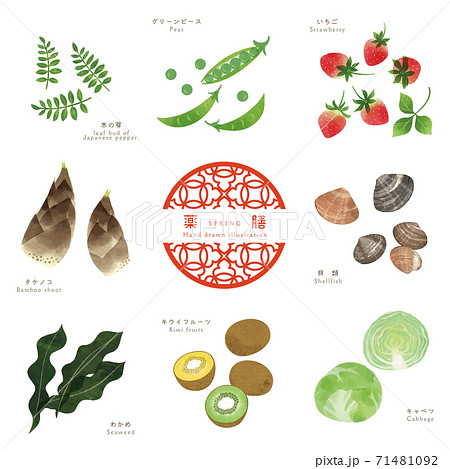 春の薬膳−2/食材の手描きイラスト 71481092