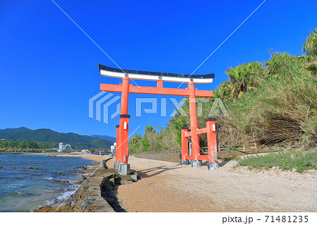 【宮崎県】晴天下の青島神社 大鳥居 【宮崎県】晴天下の青島神社 大鳥居 71481235