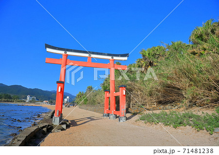 【宮崎県】晴天下の青島神社 大鳥居 【宮崎県】晴天下の青島神社 大鳥居 71481238