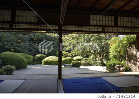 詩仙堂　日本庭園 71481314