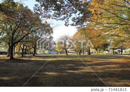 秋の東綾瀬公園 東京都足立区 秋の東綾瀬公園 東京都足立区 71481815