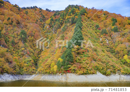 奥只見湖　銀山平コース　秋 71481853