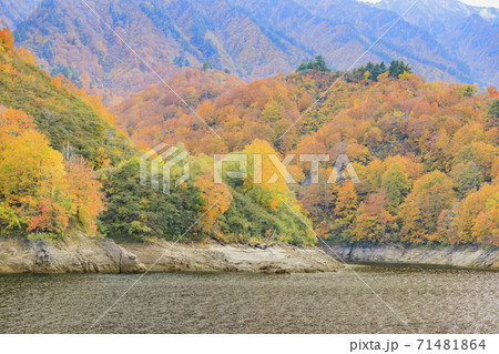 奥只見湖　銀山平コース　秋 71481864