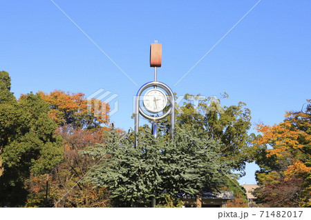 秋の東綾瀬公園　時計　東京都足立区　　 71482017