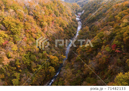 北海道 新登別大橋から見た紅葉の写真素材