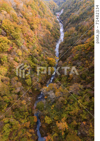 北海道 新登別大橋から見た紅葉の写真素材