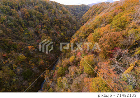 北海道 新登別大橋から見た紅葉 71482135
