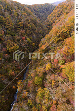 北海道 新登別大橋から見た紅葉の写真素材