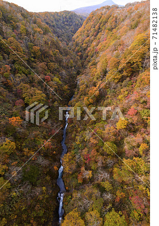 北海道 新登別大橋から見た紅葉の写真素材