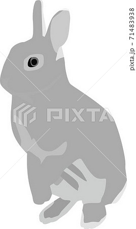 ウサギのイラスト素材 [71483938] - PIXTA