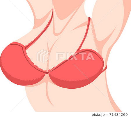 女性 胸元 バストアップ ポーズ イラストのイラスト素材