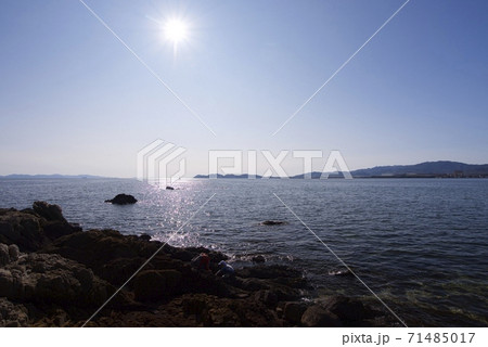 愛知県蒲郡市の竹島 71485017