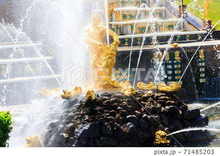 Samson Fountain in lower park of Peterhof in Saint Petersburg, Russia 71485203