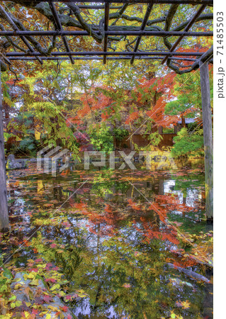 南昌荘の秋 71485503
