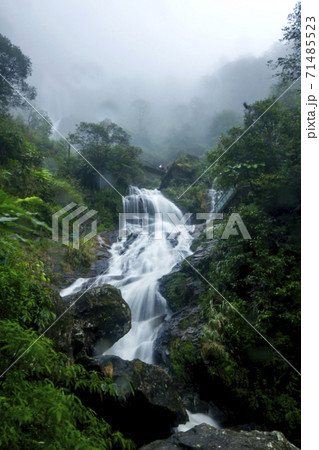 A waterfall on the mountain In Vietnam A waterfall on the mountain In Vietnam 71485523