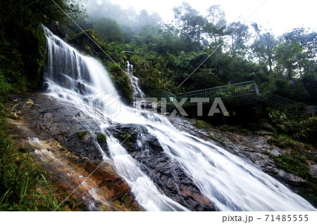 A waterfall on the mountain In Vietnam A waterfall on the mountain In Vietnam 71485555