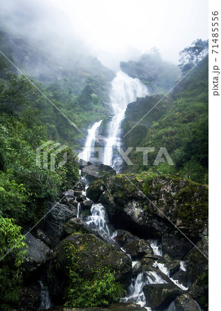 A waterfall on the mountain In Vietnam A waterfall on the mountain In Vietnam 71485556