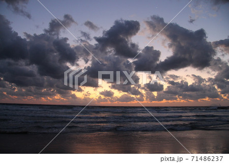 伊豆下田白浜海岸の日の出まえ 71486237
