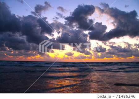 伊豆下田白浜海岸の朝焼け 71486246