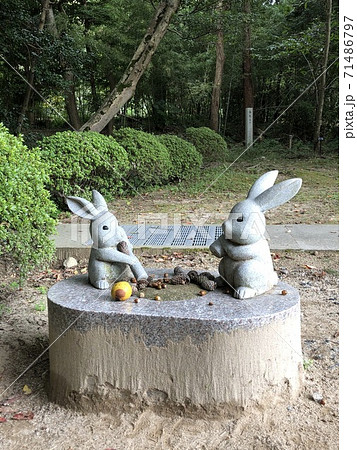 出雲大社 餅つきをするウサギの石像 島根県 出雲市 の写真素材