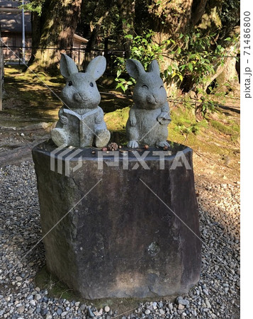 出雲大社様へうさぎの石像を奉納 ｜ 出雲富士｜富士酒造
