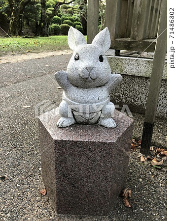 《出雲大社 廻しを(まわし)をしめたお相撲さんのウサギの石像》(島根県 出雲市) 《出雲大社 廻しを(まわし)をしめたお相撲さんのウサギの石像》(島根県 出雲市) 71486802
