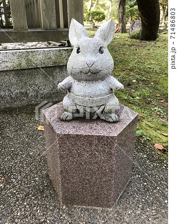 出雲大社 廻しを まわし をしめたお相撲さんのウサギの石像 島根県 出雲市 の写真素材