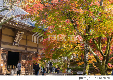 永源寺の紅葉 永源寺の紅葉 71487676