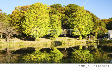 鎌倉幕府の執権北条氏ゆかりの称名寺の秋 鎌倉幕府の執権北条氏ゆかりの称名寺の秋 71487823
